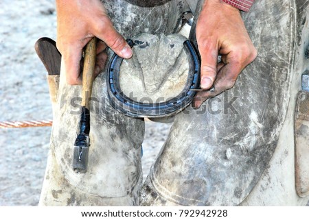 Male farrier working on a horseshoe on the ranch. Royalty-Free Stock Photo #792942928