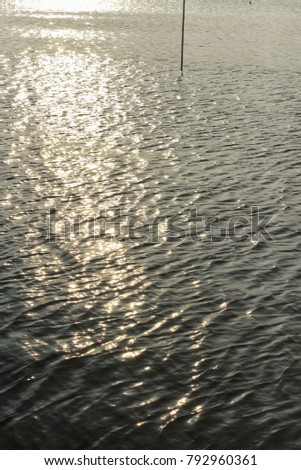 Sparkling of the surface of the lake in the evening sun.