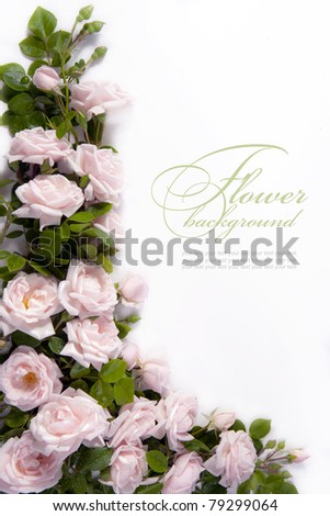 Art flower Background for greeting card