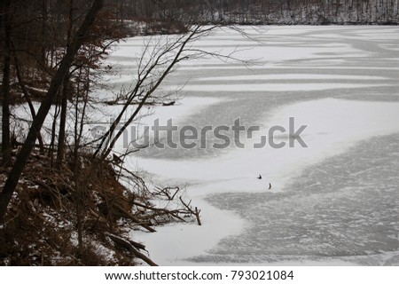 frozen lake stark black and white photograph


