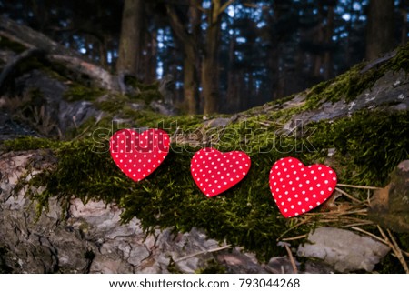 
three red hearts lie under a tree in the forest
