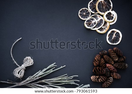 Beautiful natural objects on the background paper.monochrome tones.copy space.