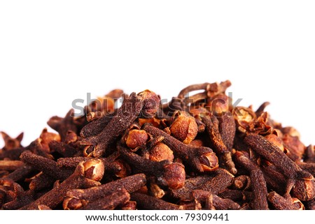 spice clove isolated on white