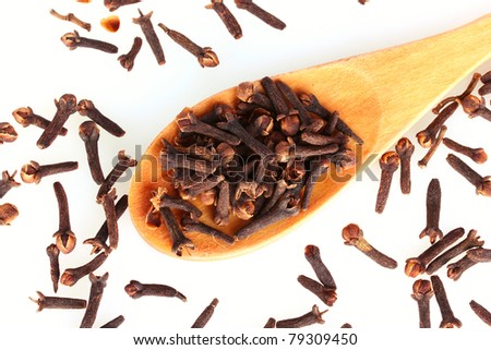 spice clove in spoon isolated on white