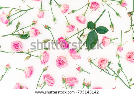 Floral natural pattern with pink roses, branches and leaves isolated on white background. Flat lay, Top view.