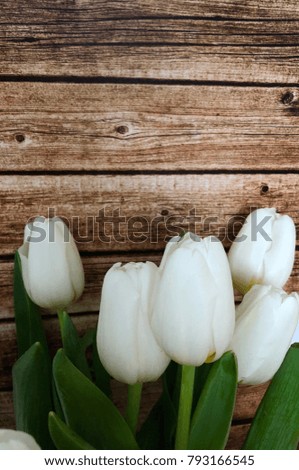 White tulips on wooden background with space for your text, rustic tulips. Spring white tulips 