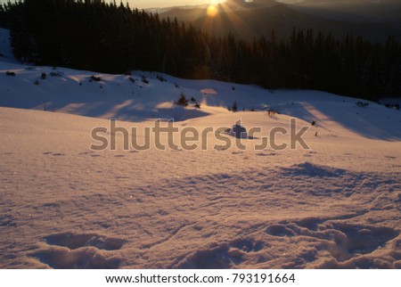 Carpathian mountains in winter