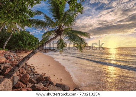 Beach in tropical island at sunset.