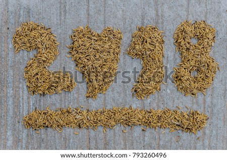 2018 paddy grain with 0 heart shaped on the concrete road background.