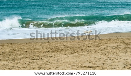 Sandy beach with crushing waves of beautiful turquoise stormy sea