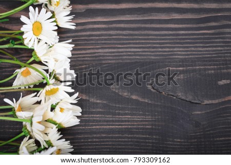 Daisy chamomile flowers on wooden background. Top view with copy space.
