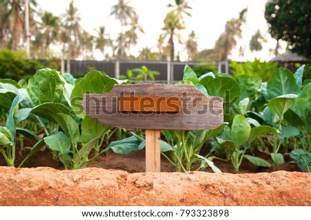 Wooden sign and fresh plant background, front view.