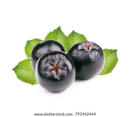 Chokeberry with leaves isolated on white background. Black aronia berries Royalty-Free Stock Photo #793342444