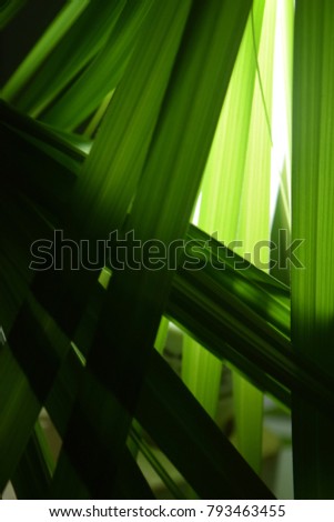 The art of bamboo leaves and papaya leaves