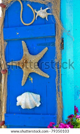 Starfish and seashell marine life background