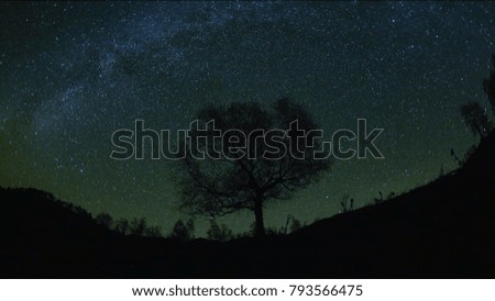 Night starry sky above forest silhouette, night forest scene with big tree, Milky Way beautiful view
