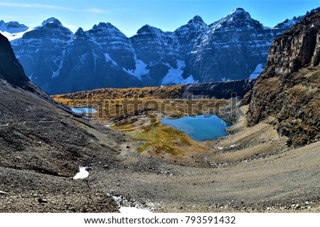 The view from Sentinel Pass, Banff National Park, Canada Royalty-Free Stock Photo #793591432