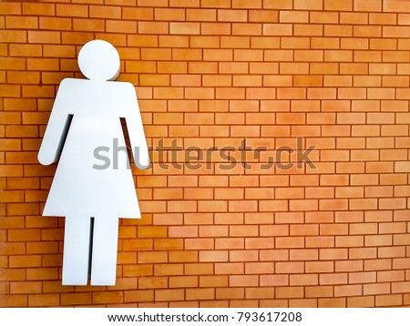 Female toilet symbol on Brick wall. Copy space on lefthand side. Background texture.