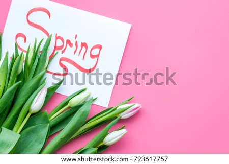 Pale pink spring tulips near spring lettering on pastel pink background top view copy space