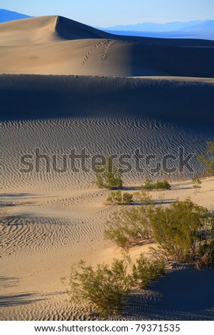 Sand Dunes, Death Valley National Park - California, United States