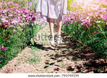 Relaxing female legs jumping on the field cosmos flower.
