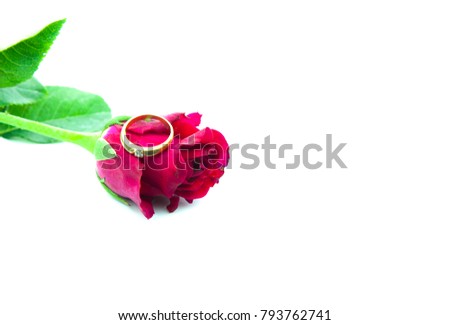A bouquet of red roses , diamond ring. As a gift for Valentine's Day . Isolated on a white background