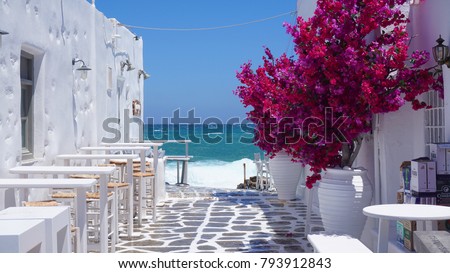 Photo of beautiful bougainvillea flower in blossom in island of Paros, Cyclades, Greece