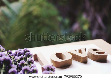 Wooden letters word "LOVE" decorate on Purple Marguerite daisy flowers.Love text on book in nature garden.Use for Valentine day and vintage concept background.Wooden alphabets & Words.Copy space.