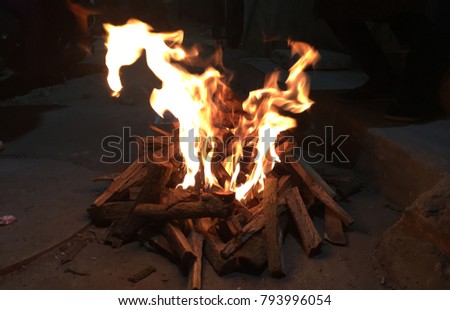 Fireart horse illusion from flames