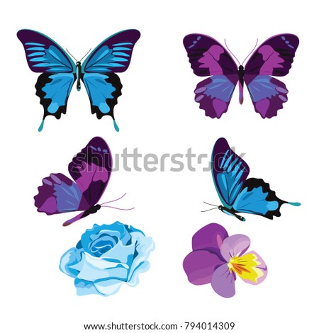 Set collection of blue and violet butterflies and flowers isolated on white background. Vector illustration.
