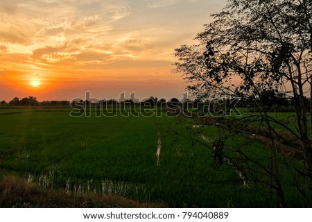 Fields in sunset