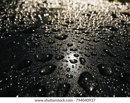 Droplet of water after rain