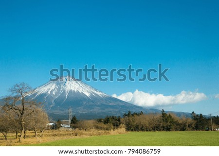 Beautiful view Mt.Fuji with snow in the morning with blue sky and rice field at Shizuoka, Japan.