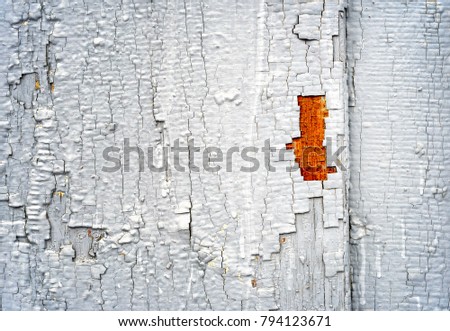 Grey flaking paint with cracked surface peeling off an old vintage wooden exterior with copy space area for renovation and construction ideas and designs