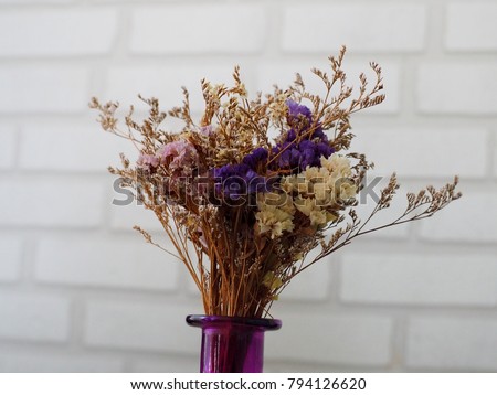 Flowers in a vase on a white background.
