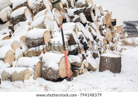 Woodpile of cut lumber for forestry industry. Billets for the winter season firewood
