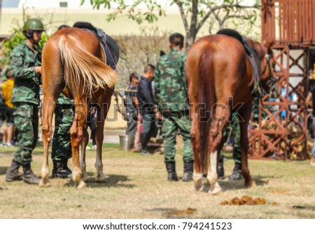 Picture blurred is Soldier,Cavalry,Horses show at the National Children's Day Thailand.
