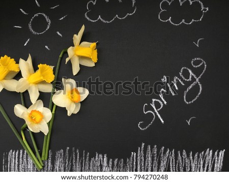 spring. concept spring background. spring flatlay for instagram. 