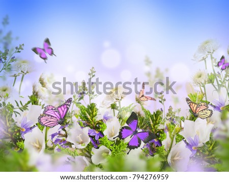 Amazing field bells and daisies, floral background with butterflies. Flowers in the wild.