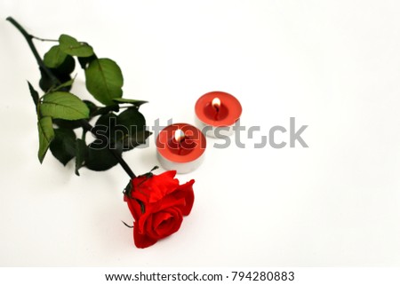 Romantic red rose with candle stock images. Red candle with red roses. Romantic roses on a white background
