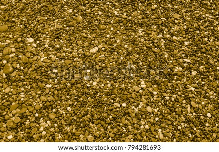 Gold colored pebble beach texture and background