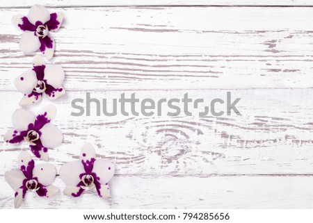 Purple orchid flowers on white wooden table, top view with copyspace.