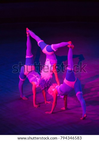 performance of acrobats in the circus