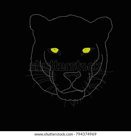 Graphical sketch portrait of puma on black