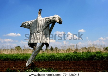 Scarecrow standing in a field on a sunny day