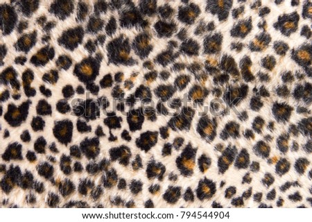Leopard fur texture background.