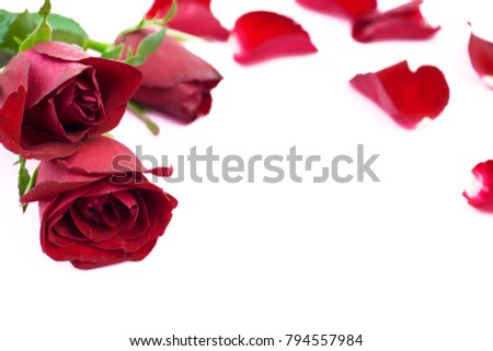 Valentine's day background and red roses
