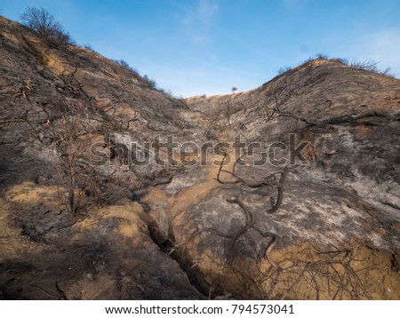 A wide angle view of a burnt and devastated hillside in California.