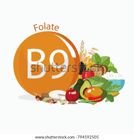 Vitamin B9 (folate). Food sources. Natural organic products with the maximum vitamin content. Royalty-Free Stock Photo #794592505