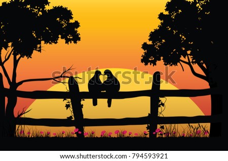 Vector images, lovers birds with beautiful sunset.